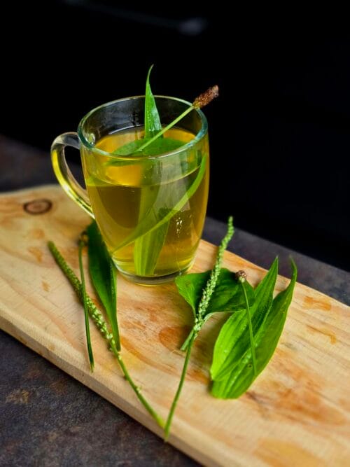 Homemade Plantain tea