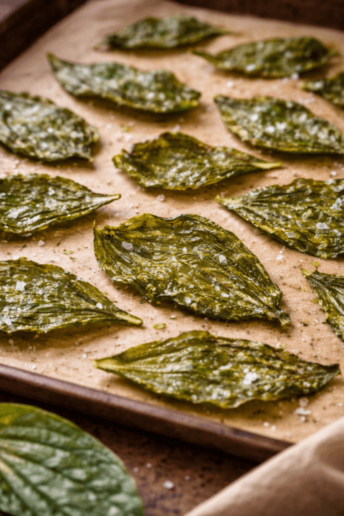 crispy plantain leaf chips on tray