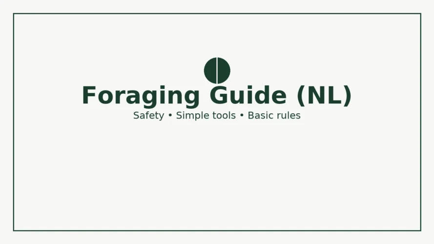 foraging guide Netherlands — safety, tools, rules