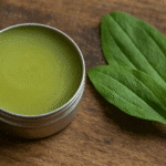 tin of homemade plantain salve