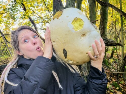 Giant puffball in my hand