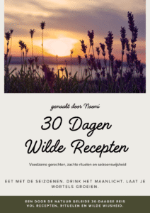 30 dagen wilde recepten