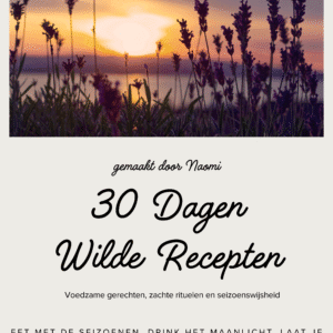 30 dagen wilde recepten