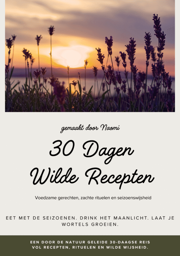 30 dagen wilde recepten