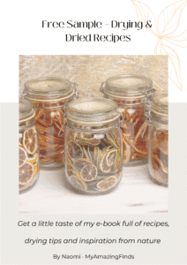 Free sample e-book drying and dried recipes