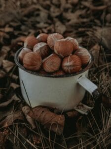 Hazelnuts in a cup